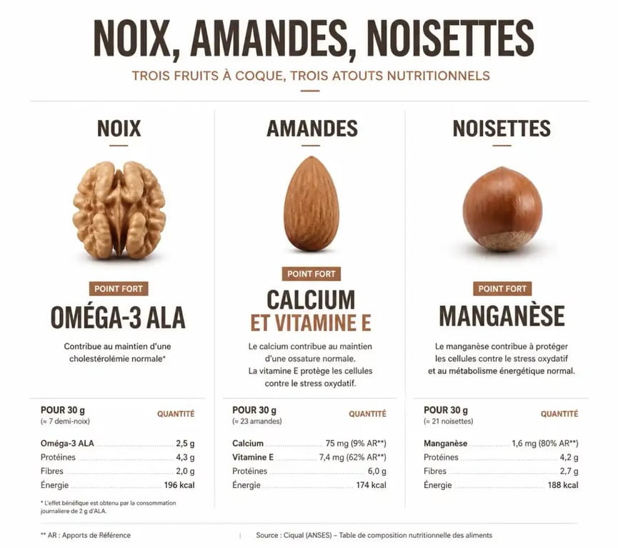 Comparaison noix amandes noisettes bienfaits santé et oméga-3