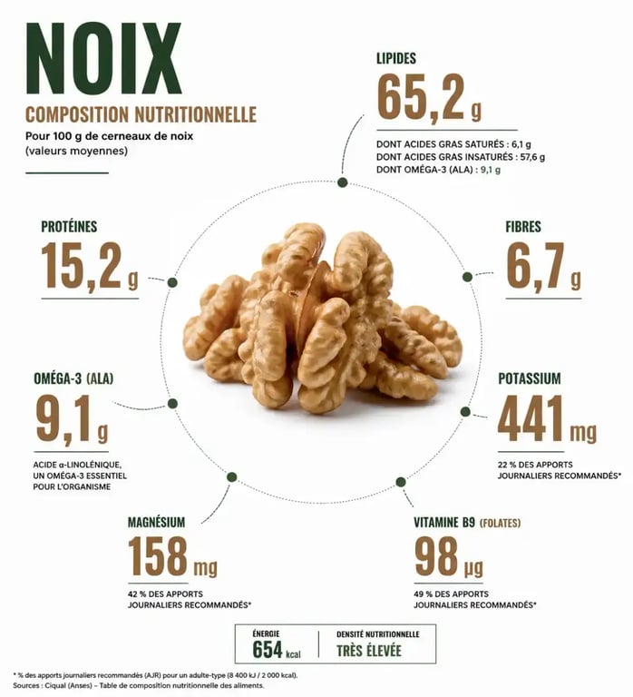 Infographie composition nutritionnelle noix santé : oméga-3, minéraux et vitamines