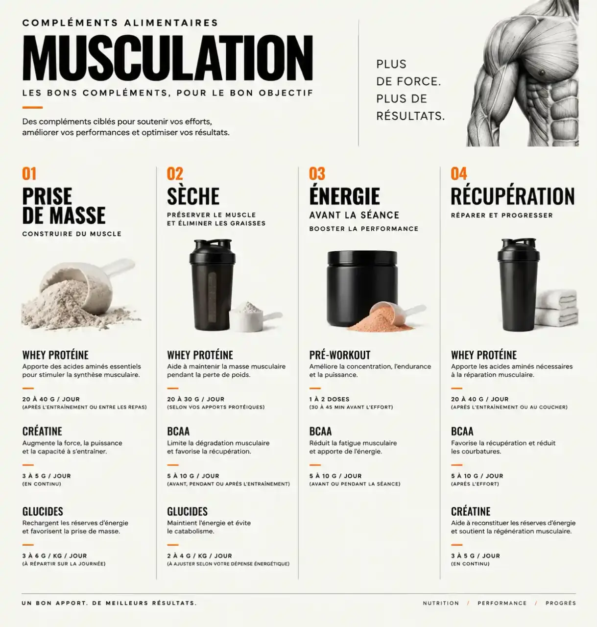 Compléments alimentaires muscu : repères par objectif (prise de masse, sèche, énergie, récupération)